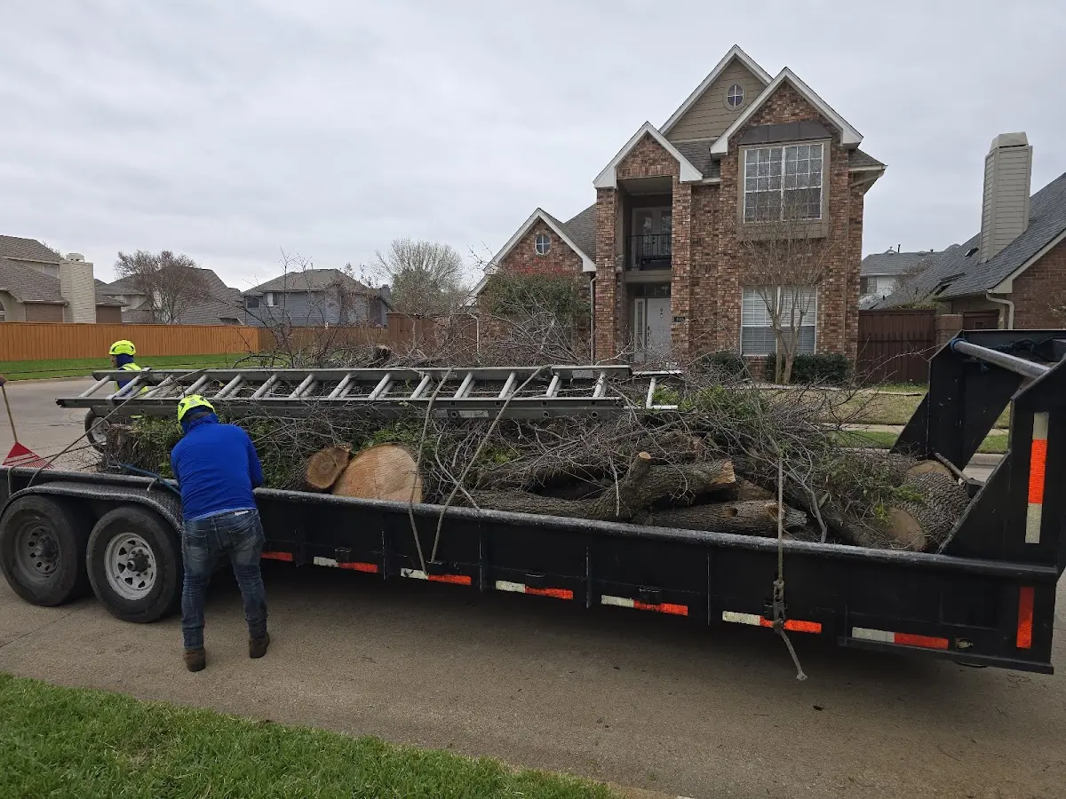 Expert Lot Clearing with proper safety equipment in Derby